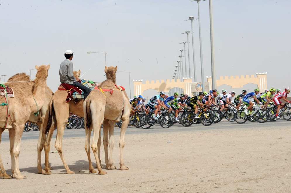 Ciclistas, arenas, camellos... ciclismo en Qatar
