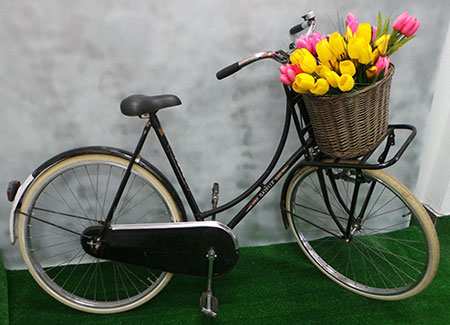 bicicleta con tulipanes
